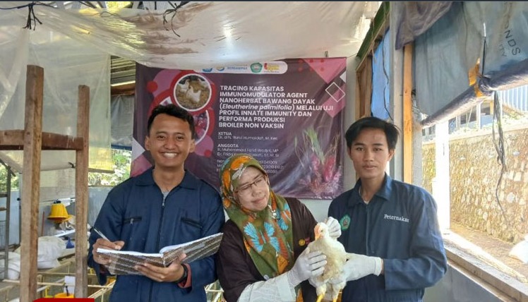 Nanoherbal Immunomodulator Bawang Dayak Untuk Broiler Non Vaksin Hasil Riset Dosen UNISMA Siap Hilirisasi